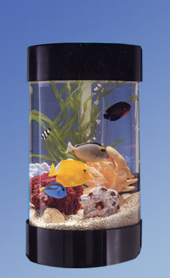 Round Aquarium You ll Love in 2019 Wayfair Round Aquarium You ll Love in 2019 Wayfair